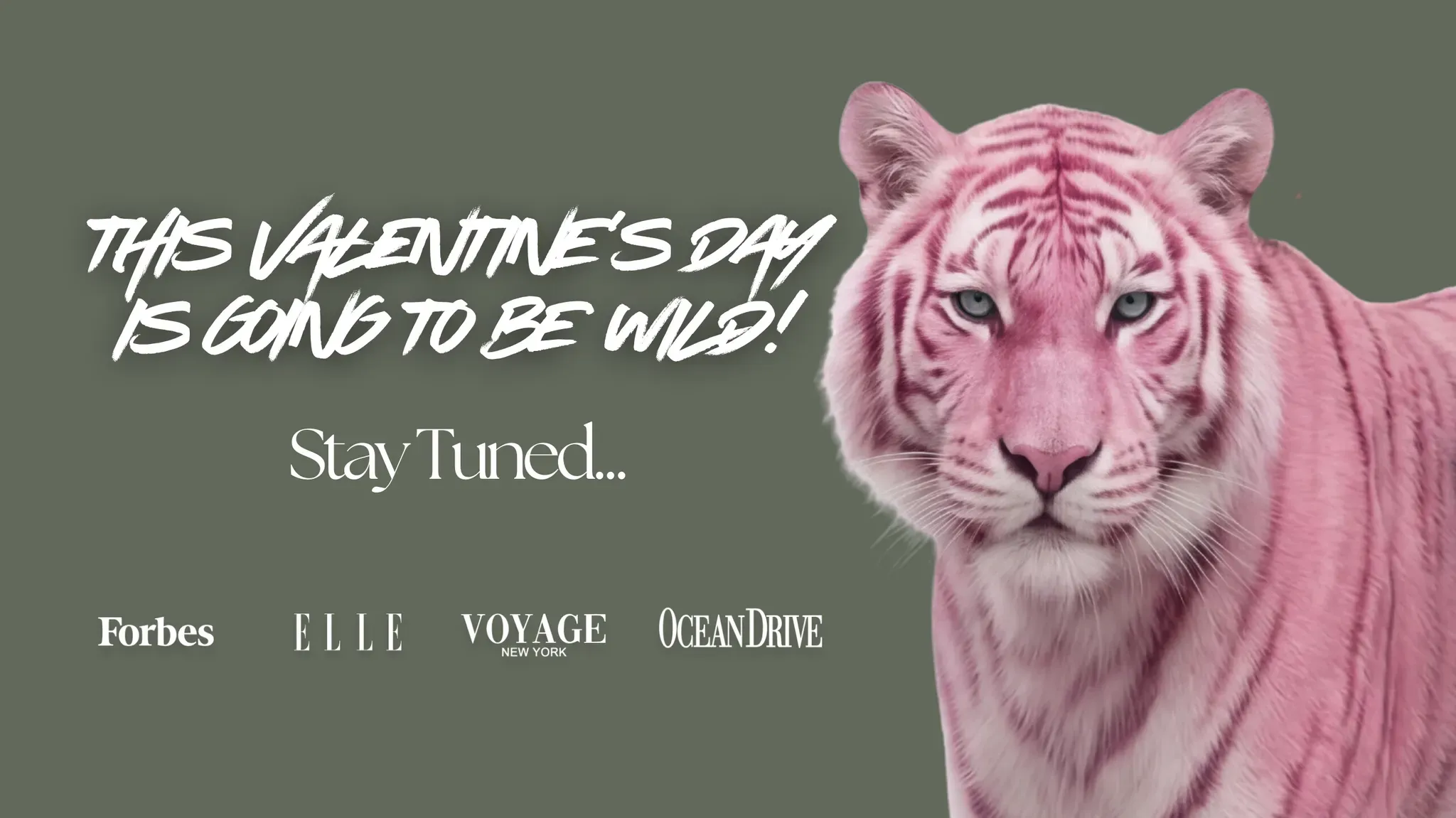 Desktop Banner